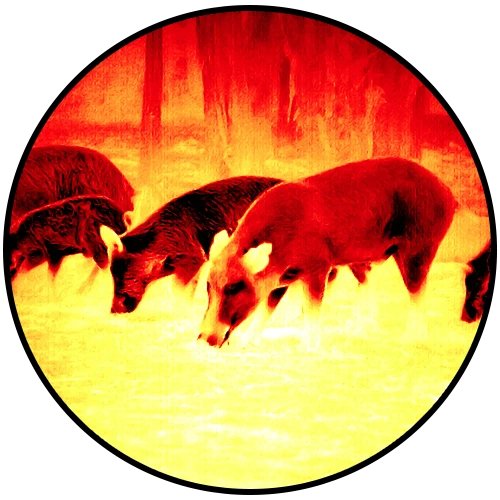 Termisk billede gennem en ATN BlazeTrek 6 termisk spotter af flere vilde dyr på en mark i paletten Iron Red inde i et rundt synsfelt